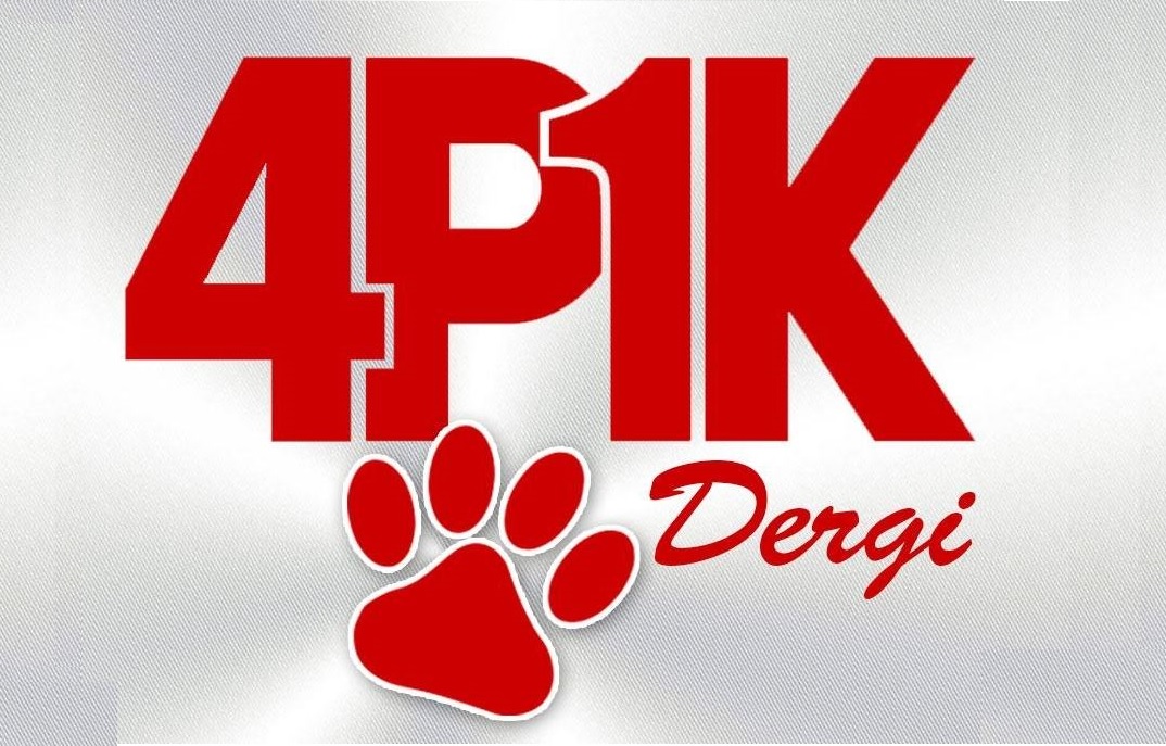 4p1k_kapak