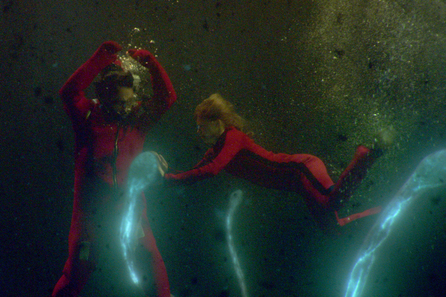 Sea-Fever-2019