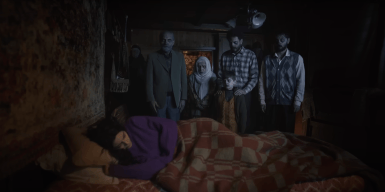 Haile-banner